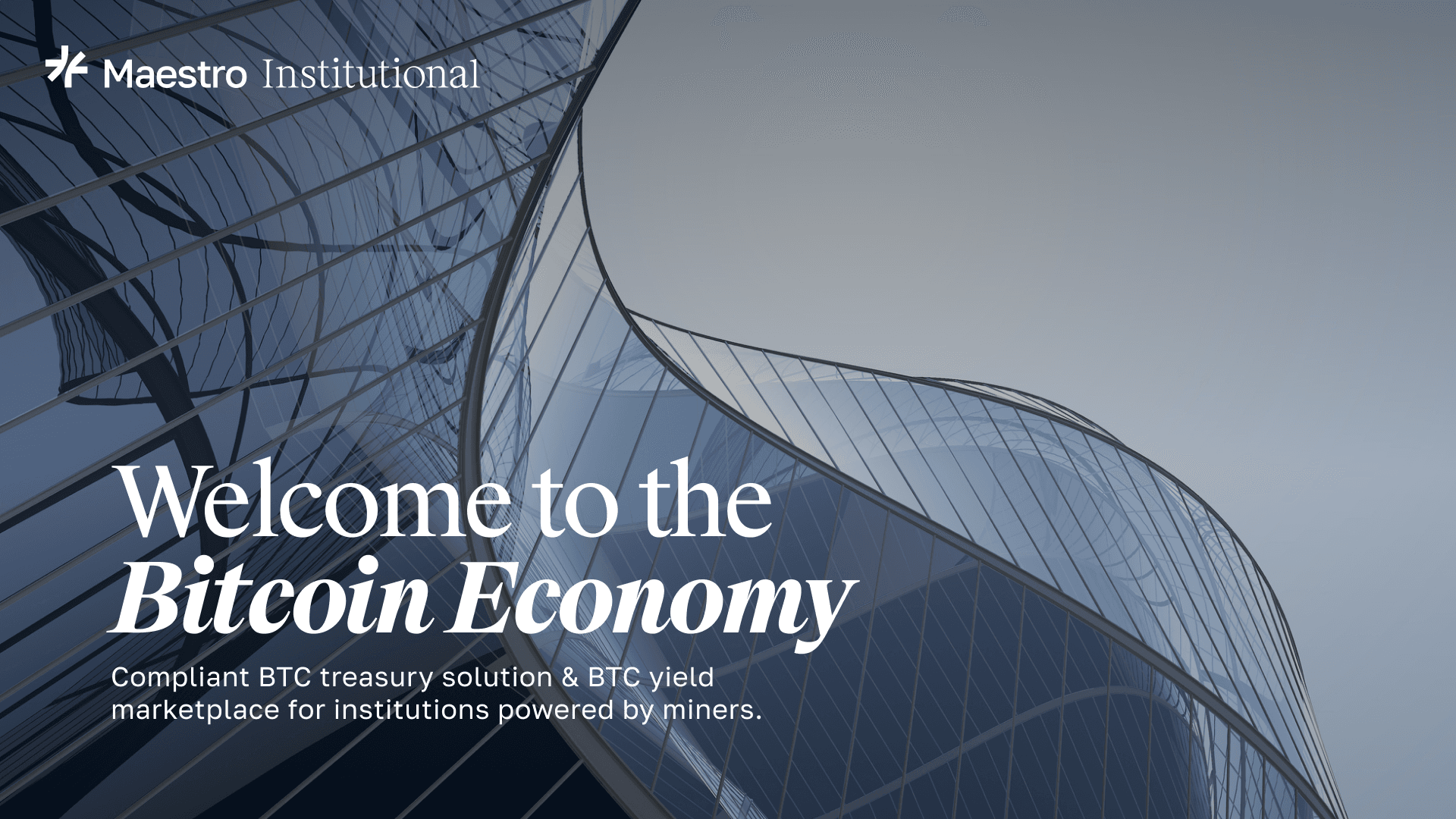 Welcome to the Bitcoin Economy
